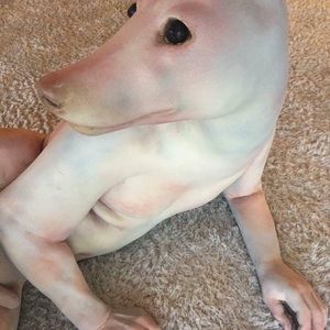 Meet your Posher, Cornell